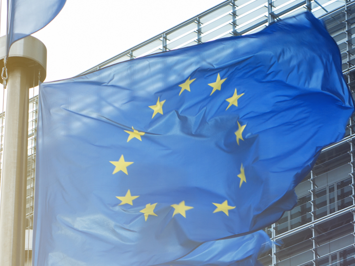 European Union Flag