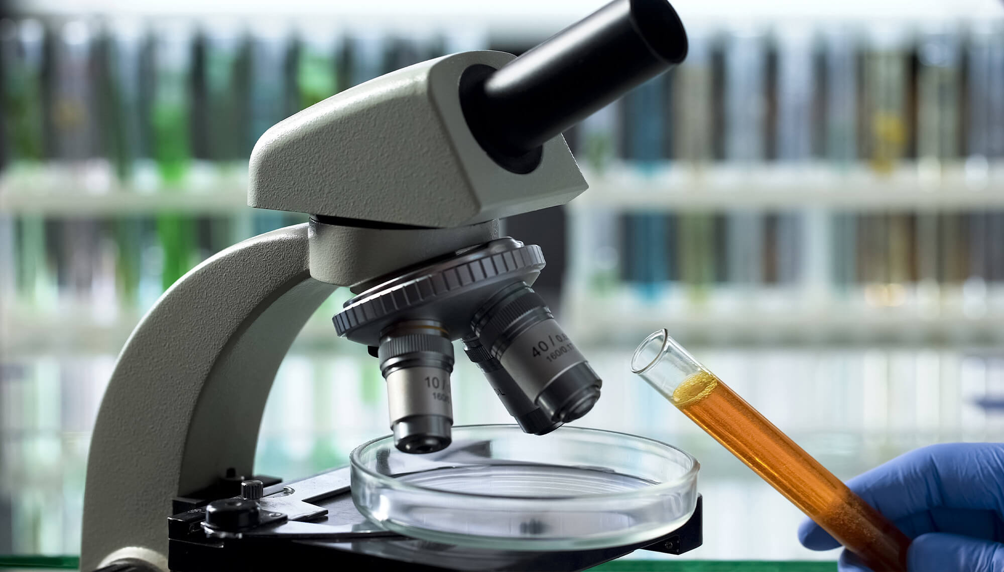 Food Micro Testing