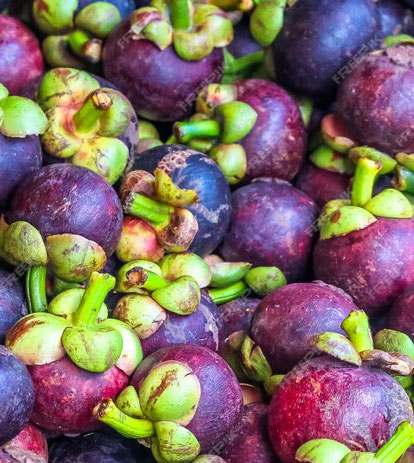 măng cụt